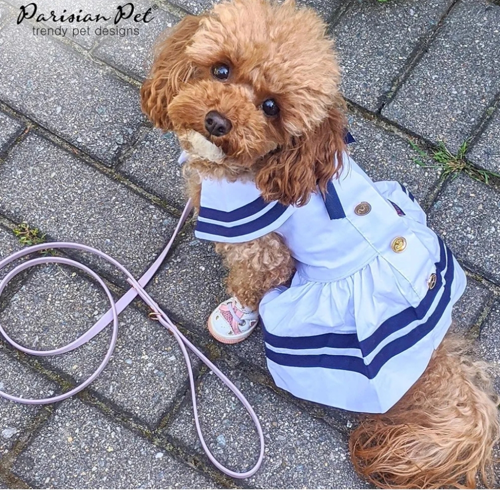 Parisian pet sailor dog dress. White blue gold medium or large.  New - Picture 12 of 12